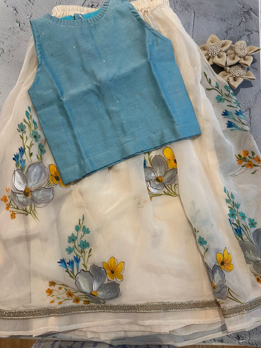 Off white organza floral hand painted skirt set