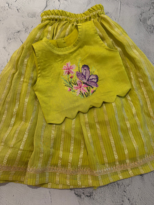 Butterfly cross stitch skirt set in lime green.
