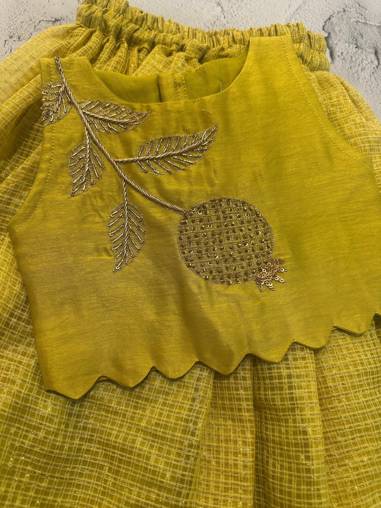 Pomegranate hand embroidered skirt set in lime green